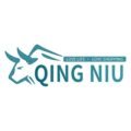 qingniu.shop