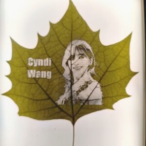 friedensblatt & led bilderrahmen (复制)