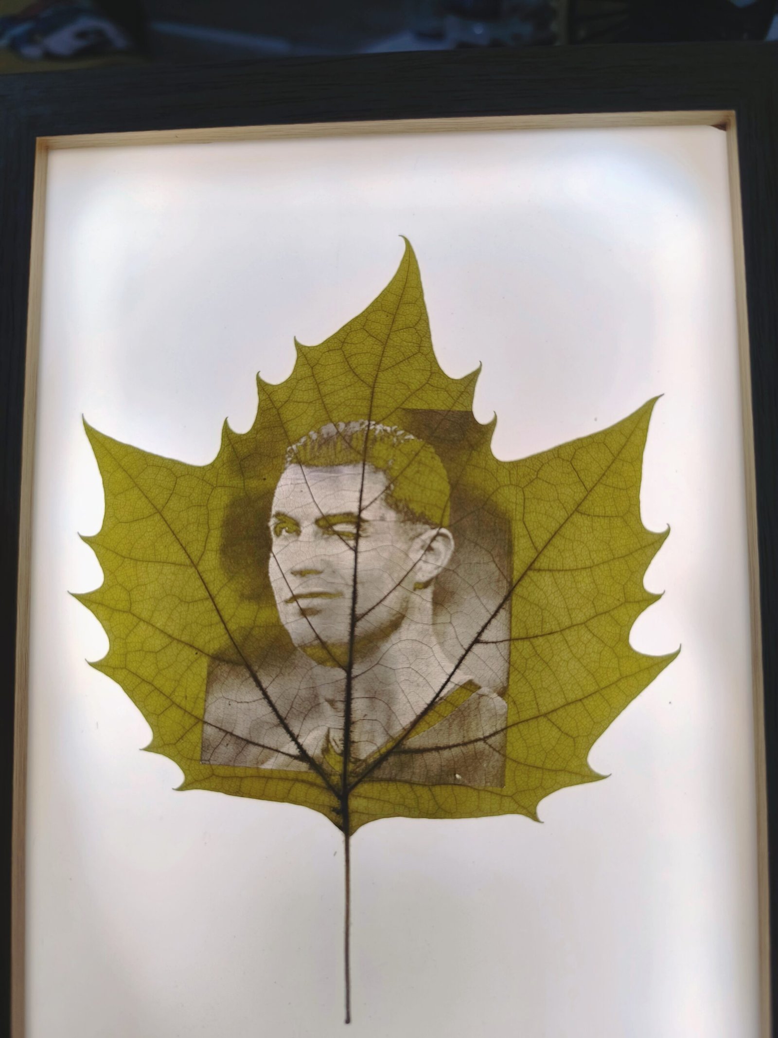 friedensblatt & led bilderrahmen (复制)